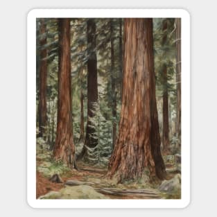 Redwood Forest Trees Retro Painting Magnet